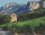 Terroir de Durban